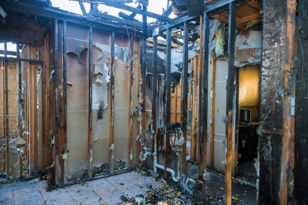 Professional Smoke Damage Removal technician working in Six Mile Run, NJ